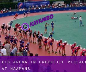 Eis-Arena in Creekside Village at Naamans