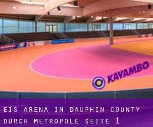 Eis-Arena in Dauphin County durch metropole - Seite 1