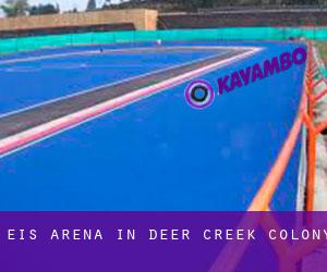 Eis-Arena in Deer Creek Colony