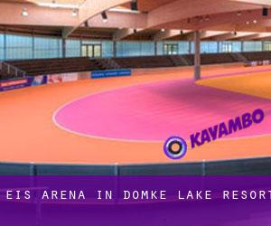 Eis-Arena in Domke Lake Resort