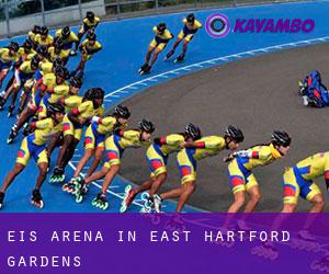 Eis-Arena in East Hartford Gardens
