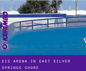 Eis-Arena in East Silver Springs Shore