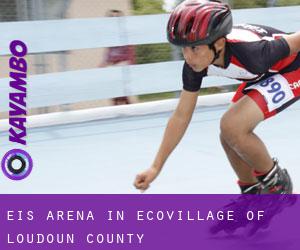 Eis-Arena in EcoVillage of Loudoun County