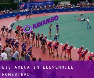 Eis-Arena in Elevenmile Homestead