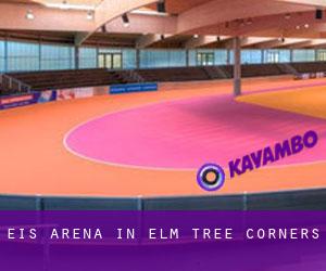 Eis-Arena in Elm Tree Corners