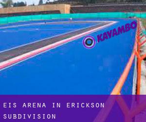 Eis-Arena in Erickson Subdivision