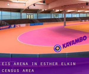 Eis-Arena in Esther-Elkin (census area)
