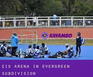 Eis-Arena in Evergreen Subdivision