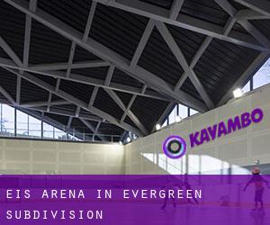 Eis-Arena in Evergreen Subdivision