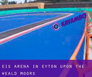 Eis-Arena in Eyton upon the Weald Moors