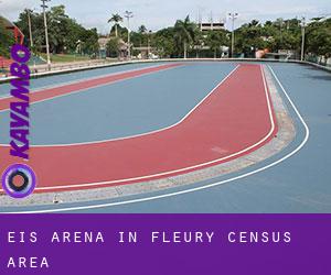 Eis-Arena in Fleury (census area)