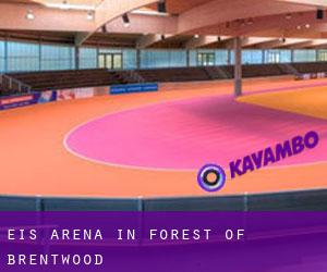Eis-Arena in Forest of Brentwood