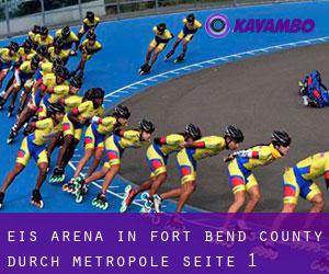 Eis-Arena in Fort Bend County durch metropole - Seite 1