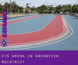 Eis-Arena in Greenview M.District
