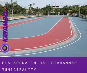 Eis-Arena in Hallstahammar Municipality