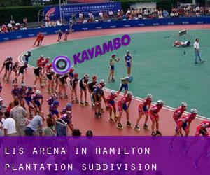Eis-Arena in Hamilton Plantation Subdivision