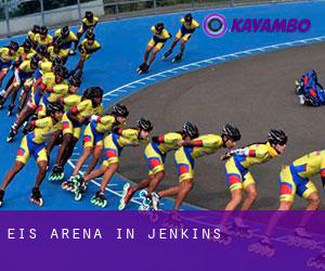 Eis-Arena in Jenkins