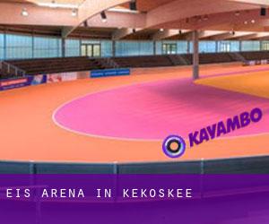 Eis-Arena in Kekoskee