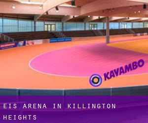 Eis-Arena in Killington Heights