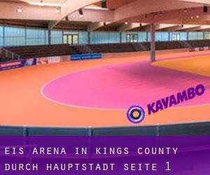 Eis-Arena in Kings County durch hauptstadt - Seite 1