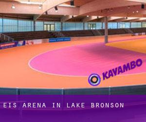 Eis-Arena in Lake Bronson