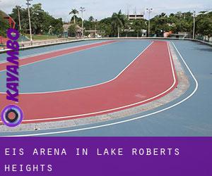 Eis-Arena in Lake Roberts Heights