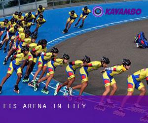 Eis-Arena in Lily