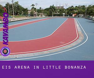 Eis-Arena in Little Bonanza