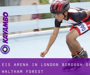 Eis-Arena in London Borough of Waltham Forest