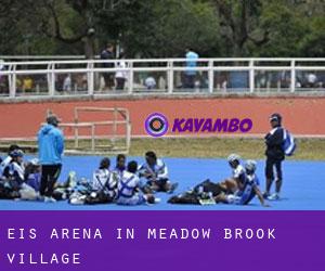 Eis-Arena in Meadow Brook Village