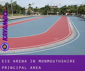 Eis-Arena in Monmouthshire principal area