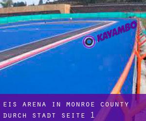 Eis-Arena in Monroe County durch stadt - Seite 1
