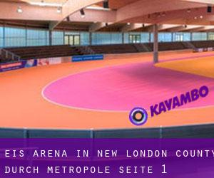 Eis-Arena in New London County durch metropole - Seite 1