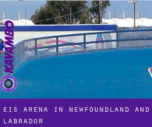 Eis-Arena in Newfoundland and Labrador