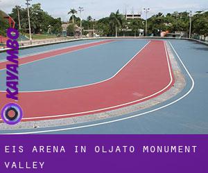 Eis-Arena in Oljato-Monument Valley