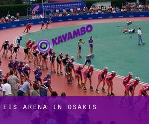 Eis-Arena in Osakis
