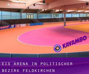 Eis-Arena in Politischer Bezirk Feldkirchen
