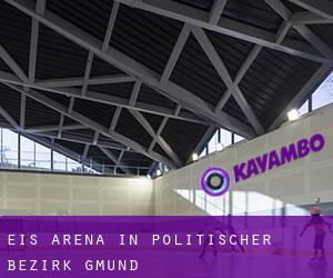 Eis-Arena in Politischer Bezirk Gmünd