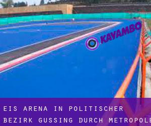 Eis-Arena in Politischer Bezirk Güssing durch metropole - Seite 1