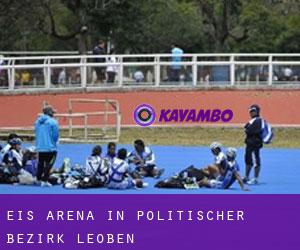 Eis-Arena in Politischer Bezirk Leoben