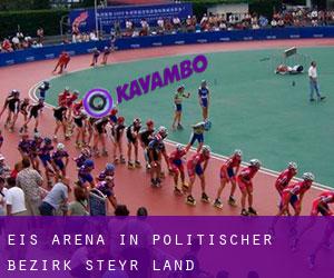 Eis-Arena in Politischer Bezirk Steyr-Land