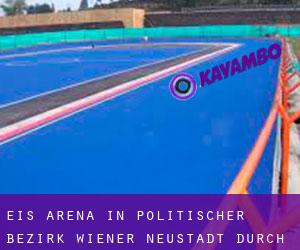 Eis-Arena in Politischer Bezirk Wiener Neustadt durch metropole - Seite 1