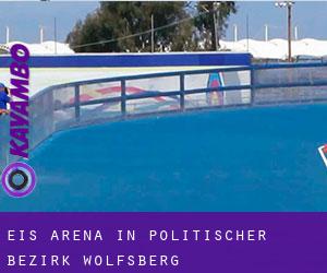 Eis-Arena in Politischer Bezirk Wolfsberg