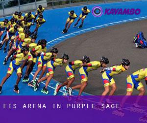 Eis-Arena in Purple Sage