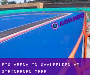 Eis-Arena in Saalfelden am Steinernen Meer