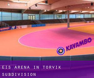 Eis-Arena in Torvik Subdivision