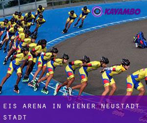 Eis-Arena in Wiener Neustadt Stadt