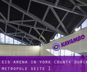 Eis-Arena in York County durch metropole - Seite 1