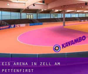 Eis-Arena in Zell am Pettenfirst