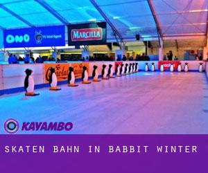 Skaten Bahn in Babbit Winter